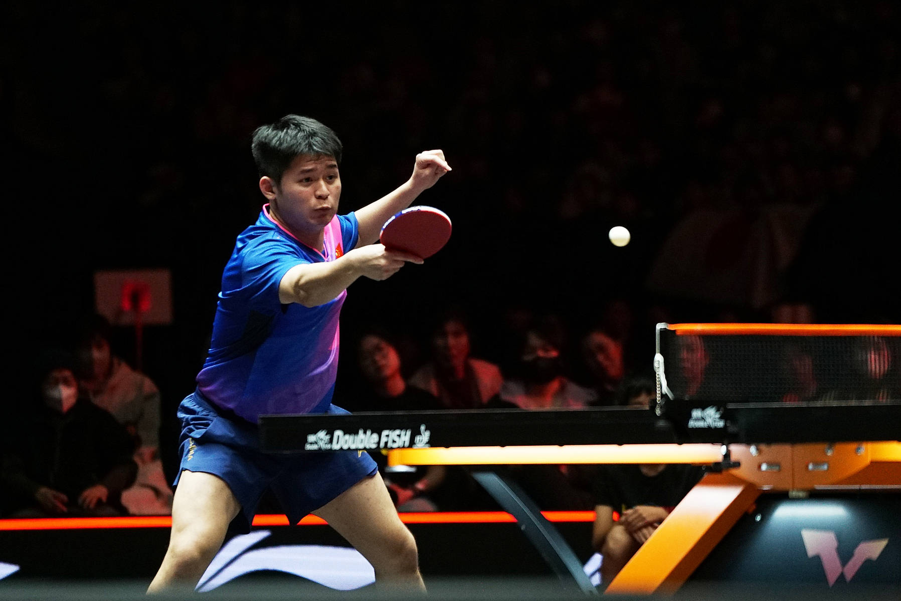 支持荷兰胜 支持荷兰胜