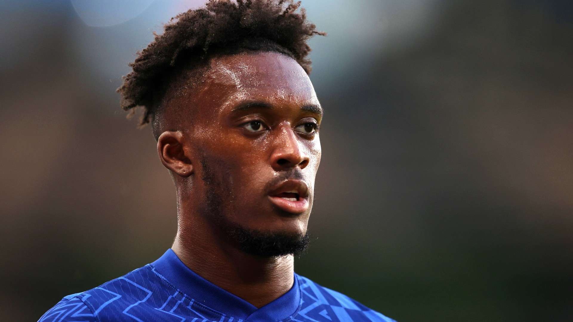 足球計劃的 足球計劃的