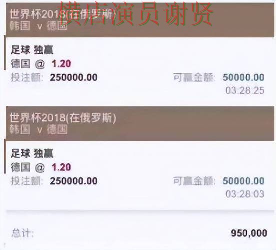 揭秘世界杯买球平台:从真实体验到使用全流程解析 - 世界杯赛事中心